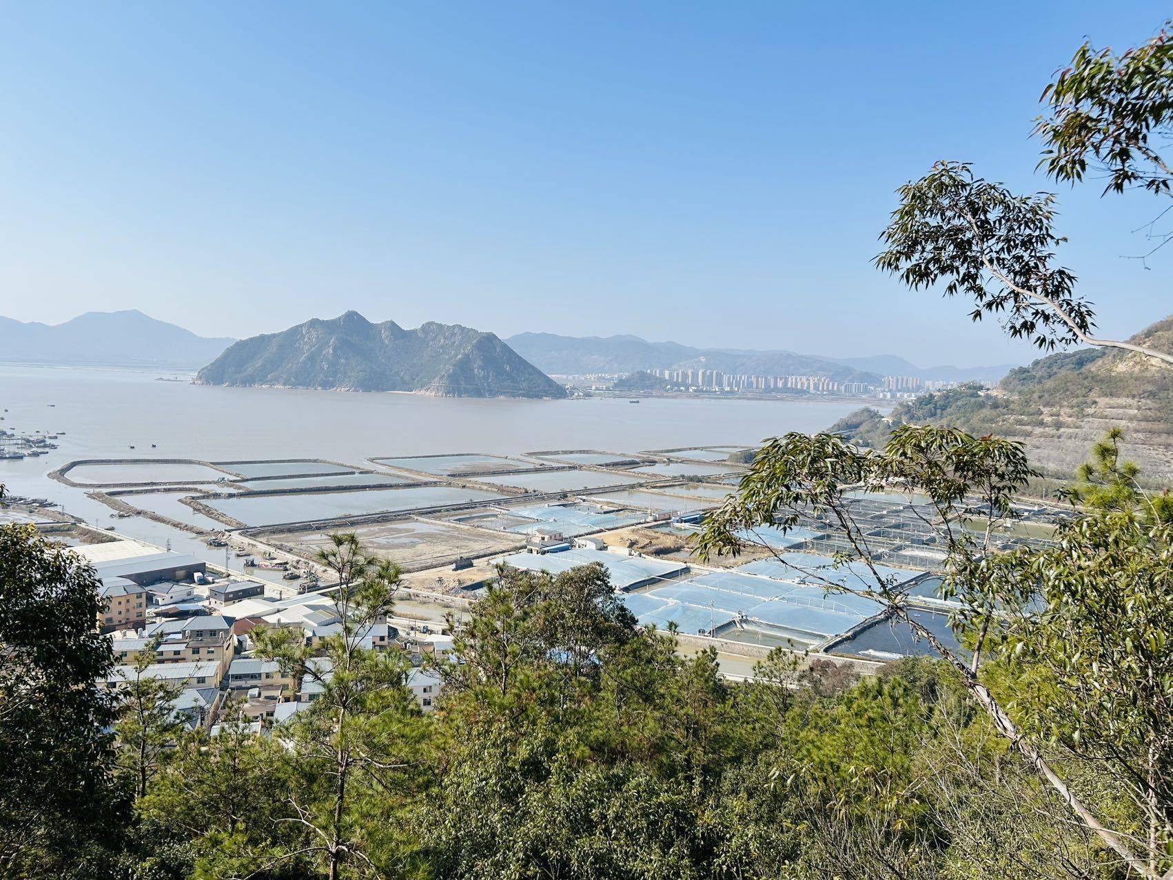 王女士（业主直租）