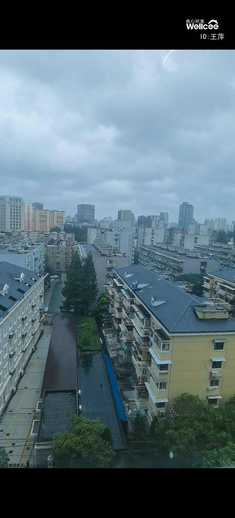 王萍
