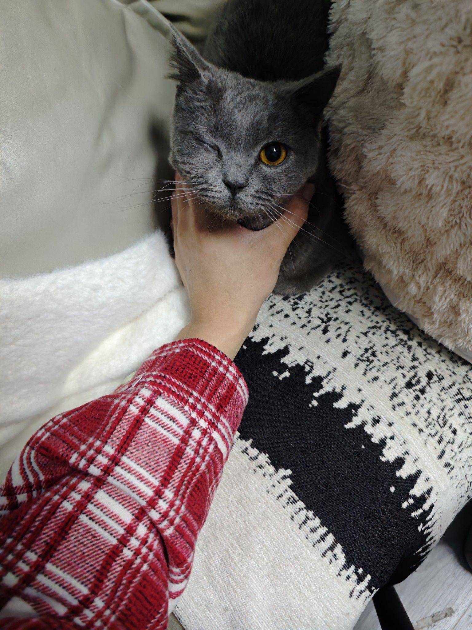小久久