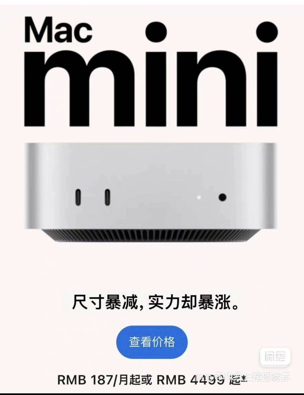 壮壮