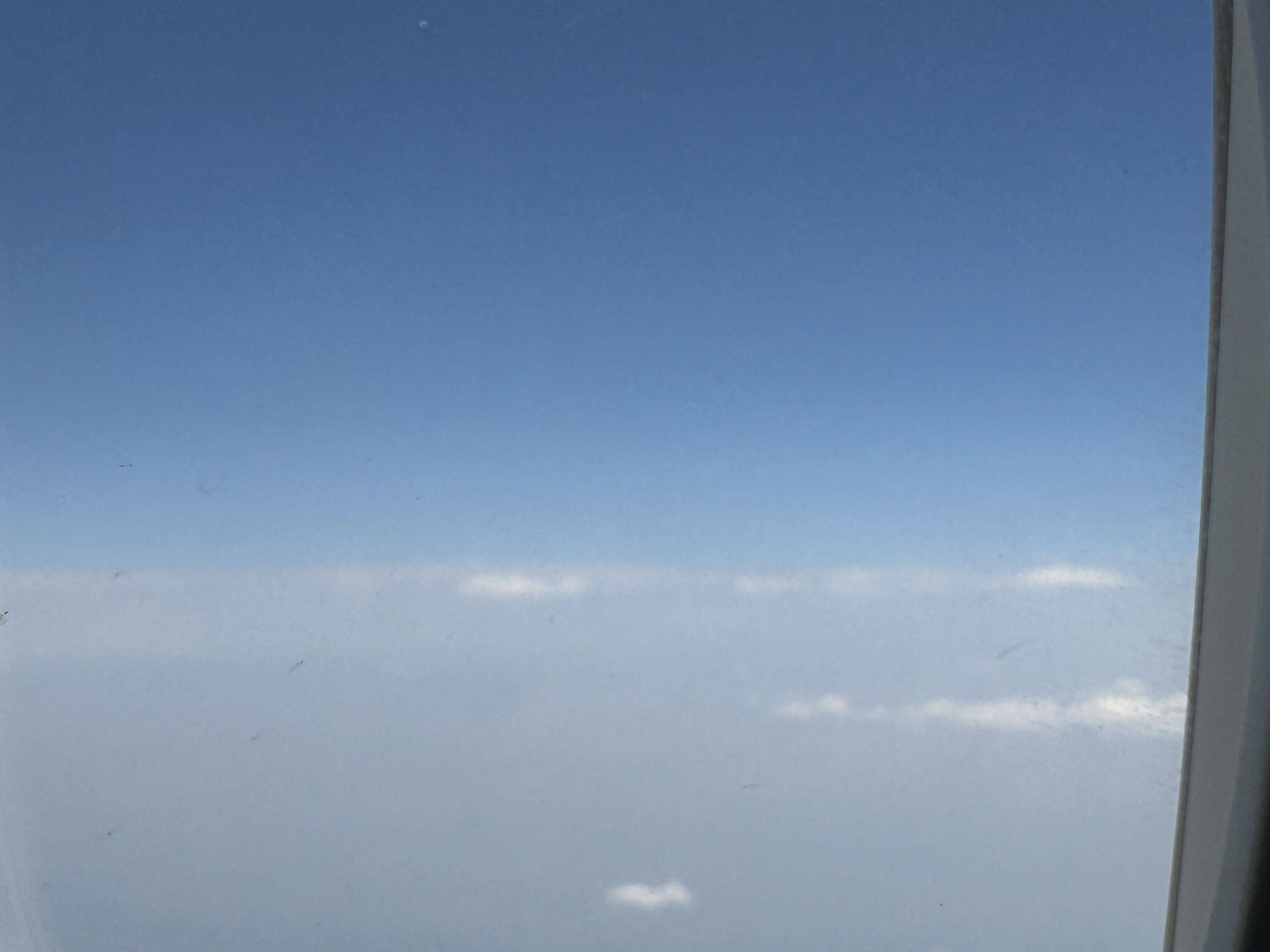 小鱼