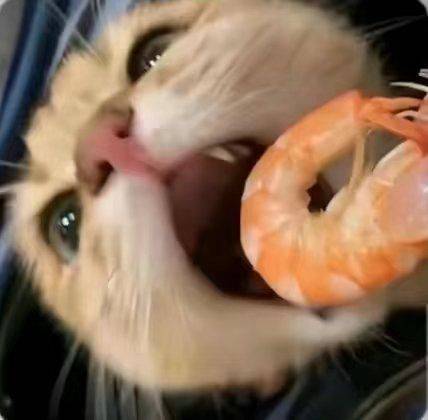 吴