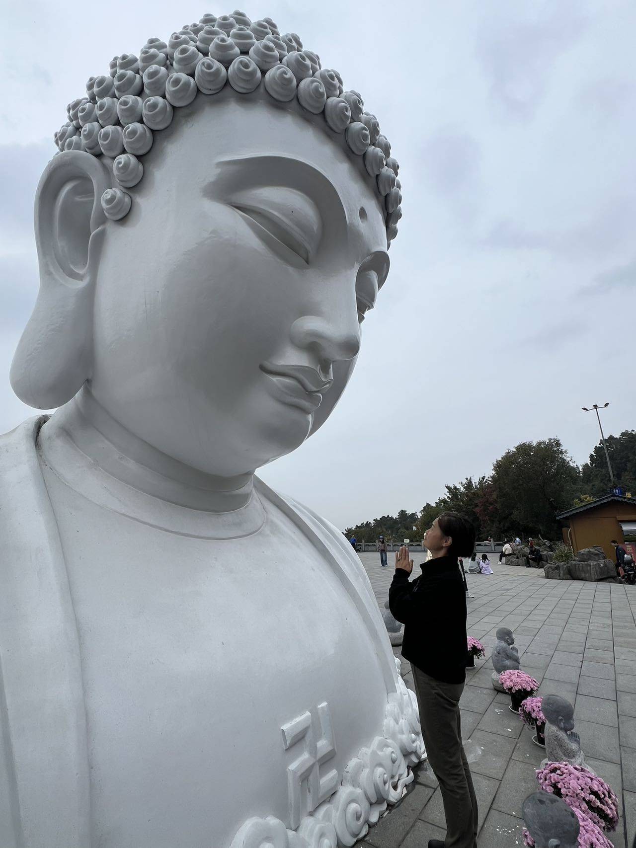 半山听雨