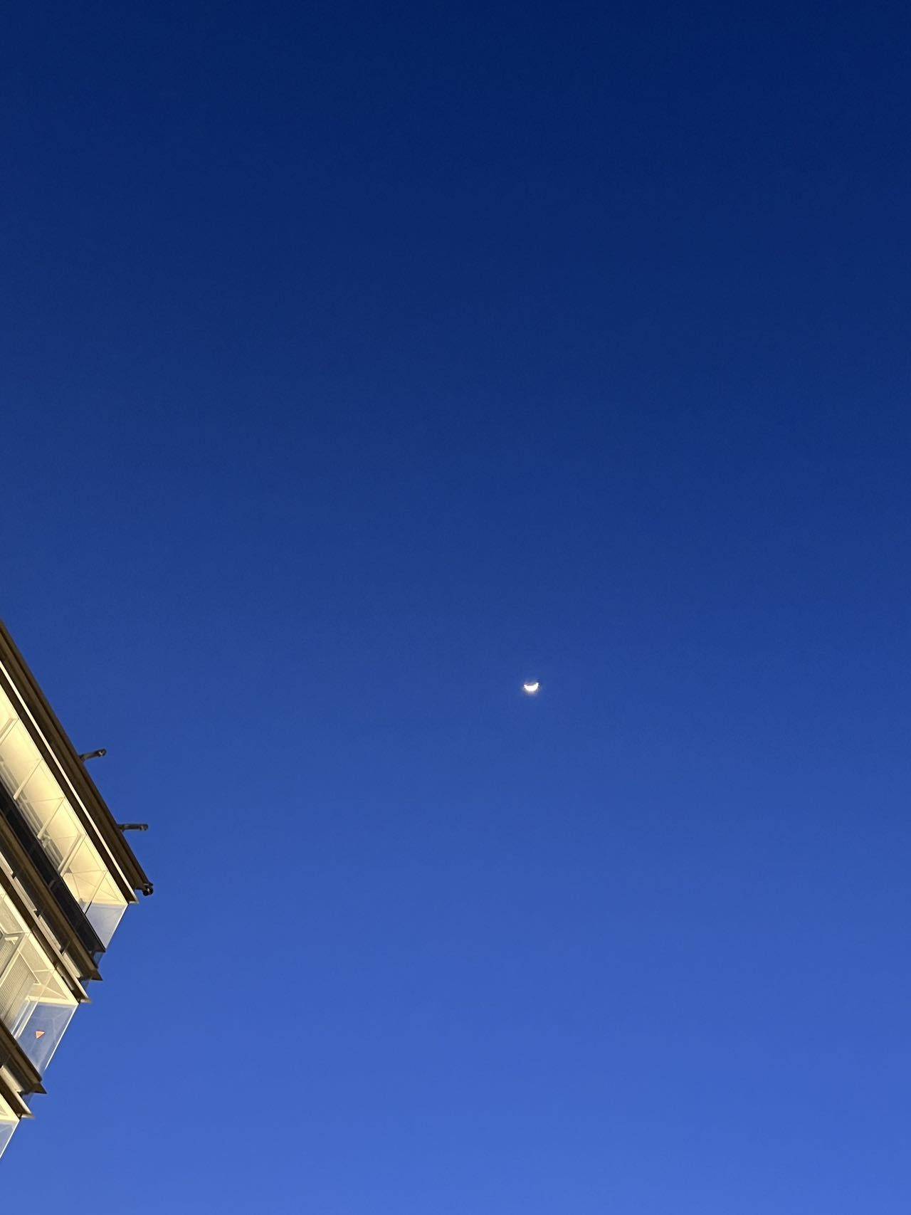 最喜欢小狗啦！