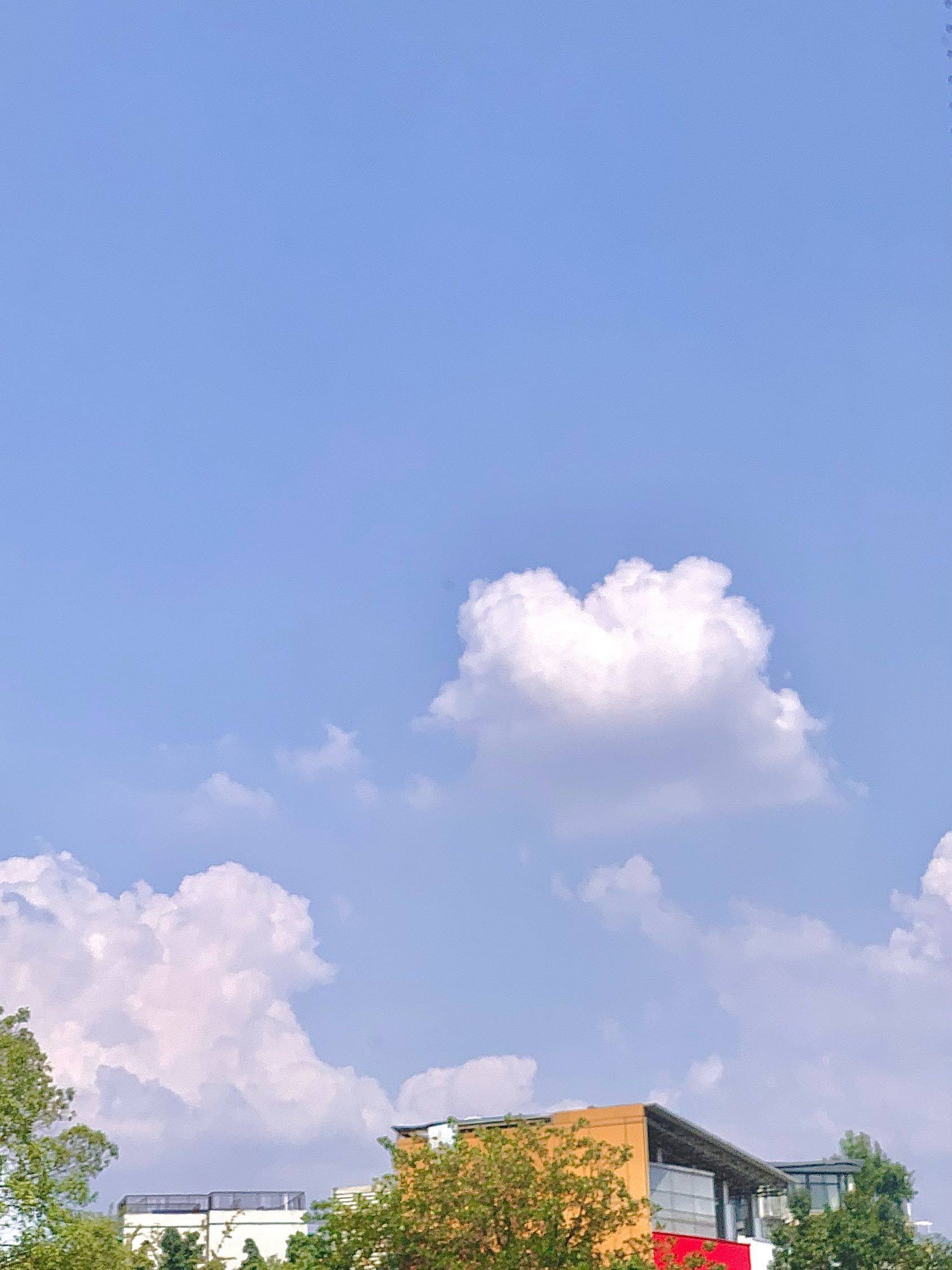 慧慧