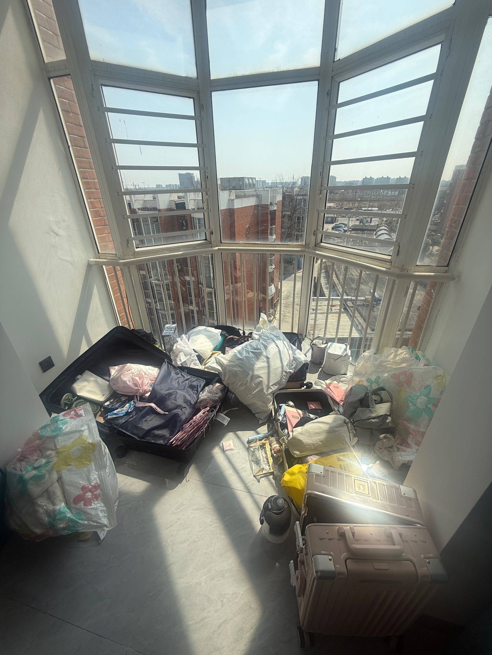 Shanghai-Pudong-Hustle & Bustle,Pet Friendly