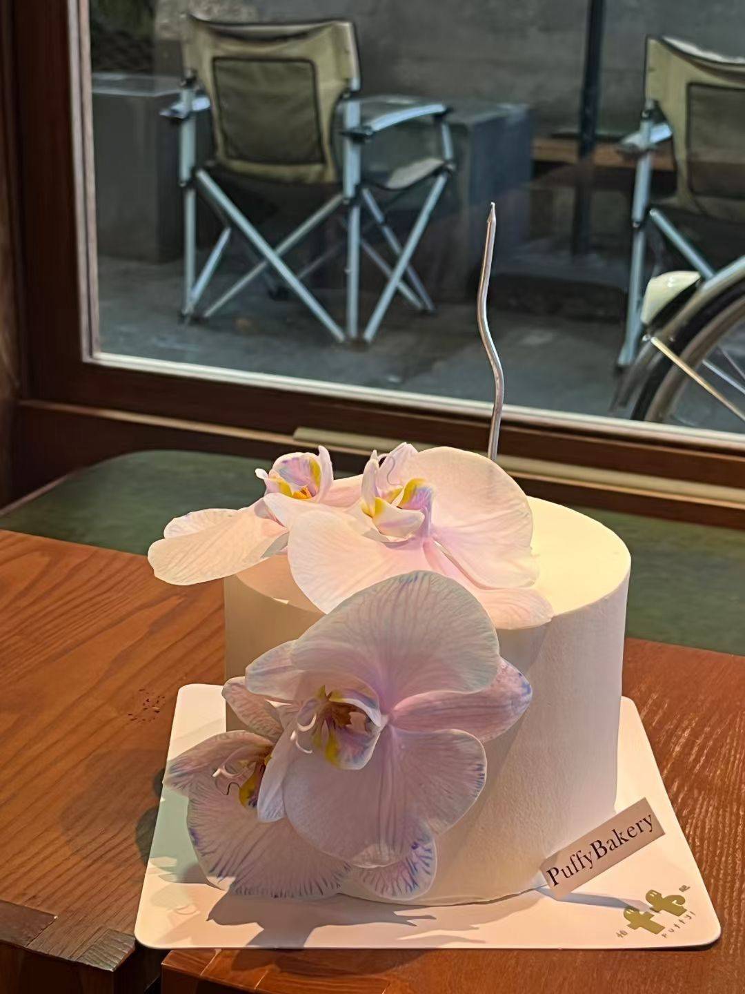 人淡如菊