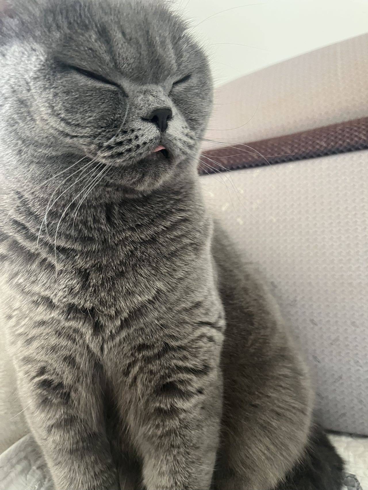 刘某