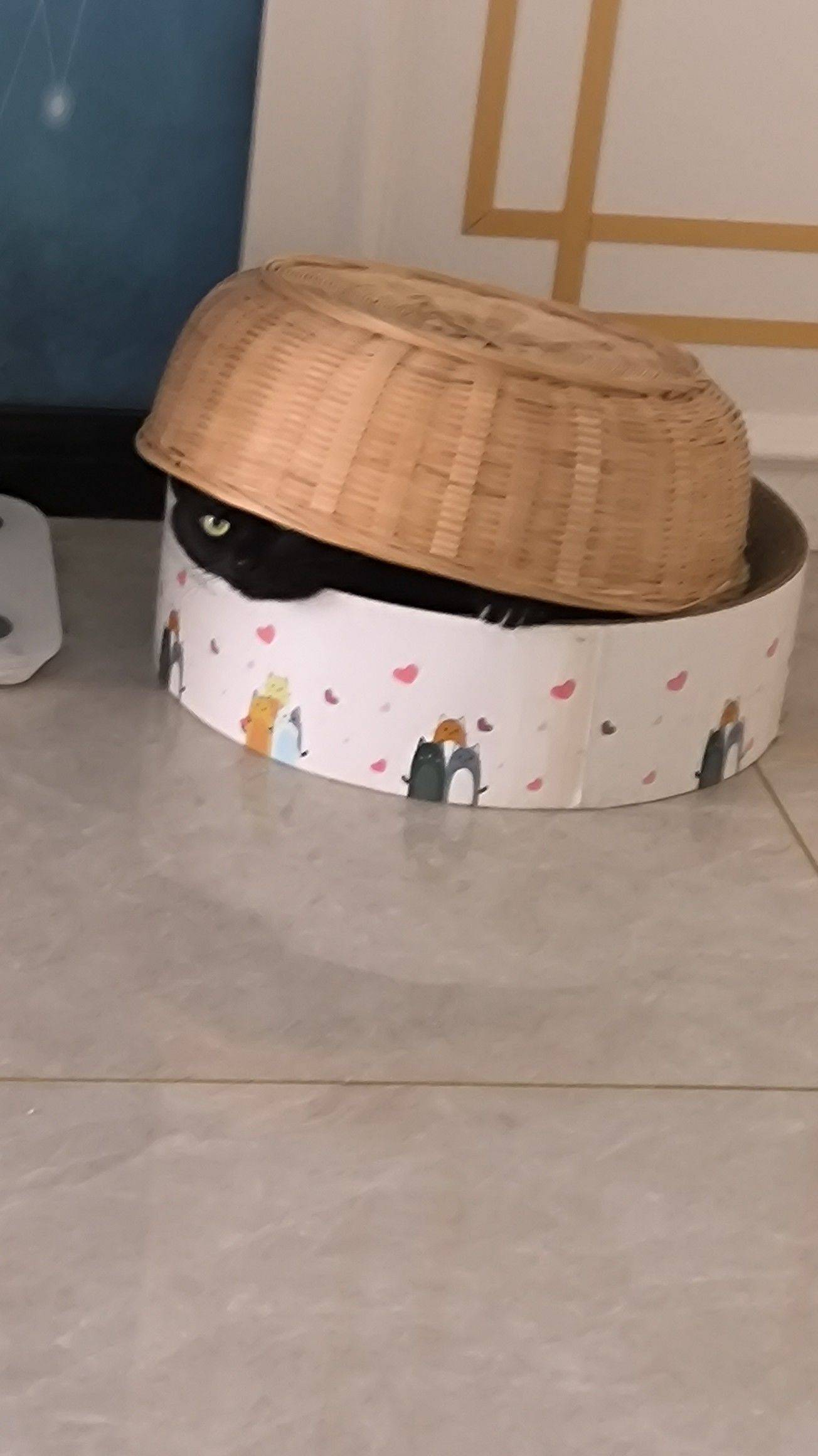 糕手