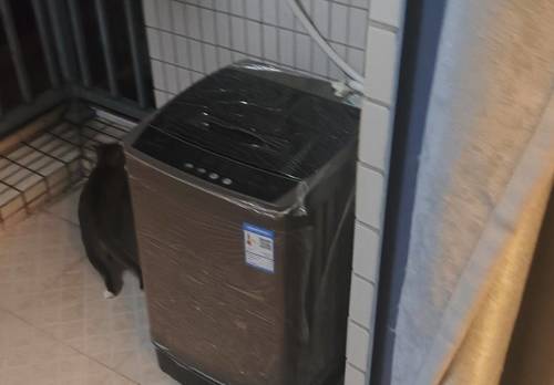 Conghua 华标·荔苑