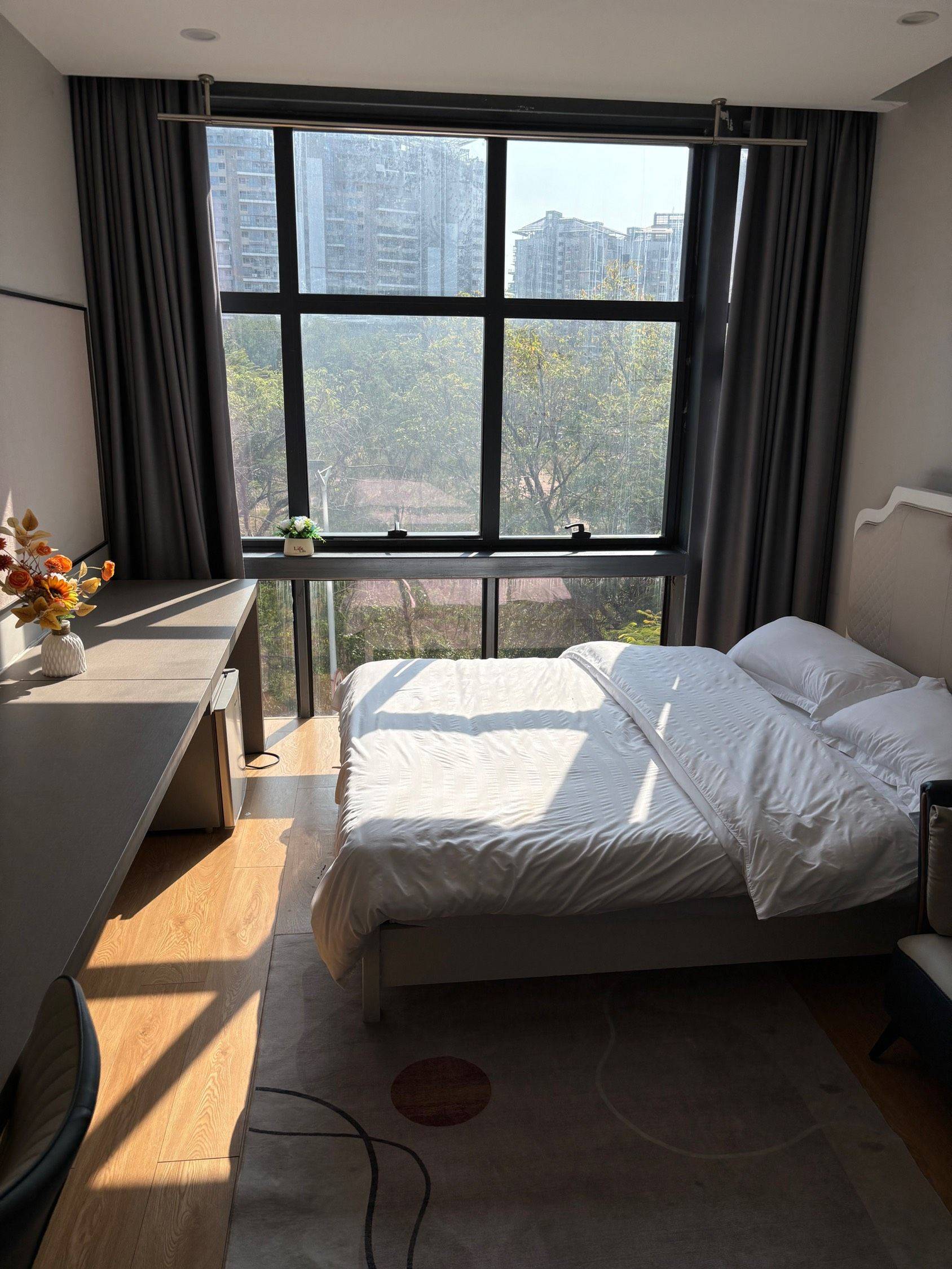 Shenzhen-Nanshan-Cozy Home,Clean&Comfy,Hustle & Bustle,“Friends”,Chilled,LGBTQ Friendly,Pet Friendly