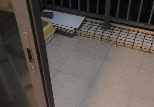 Conghua 华标·荔苑