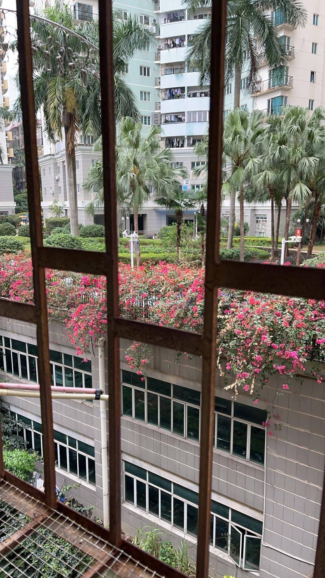 Shenzhen-Nanshan-Cozy Home,No Gender Limit