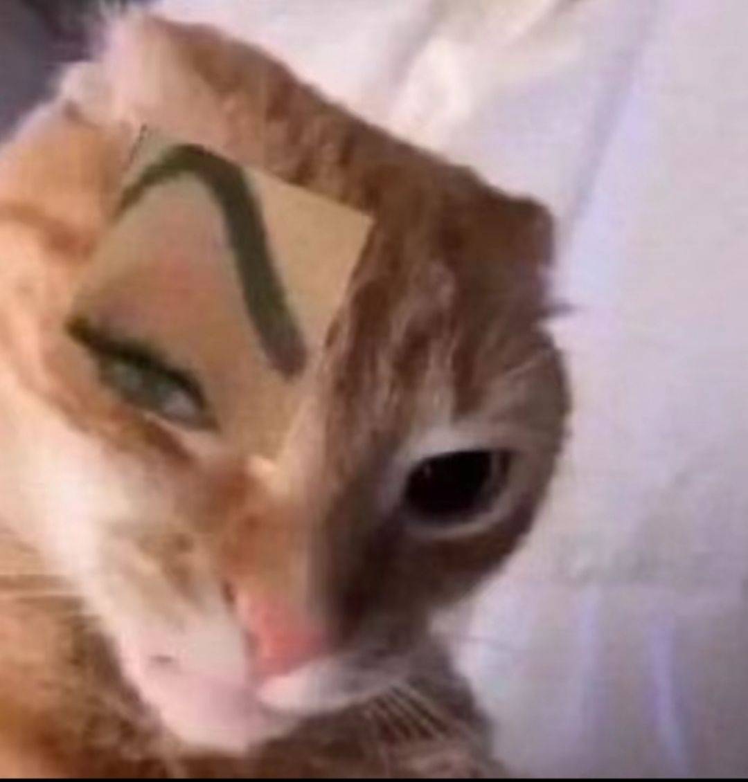 世界大同