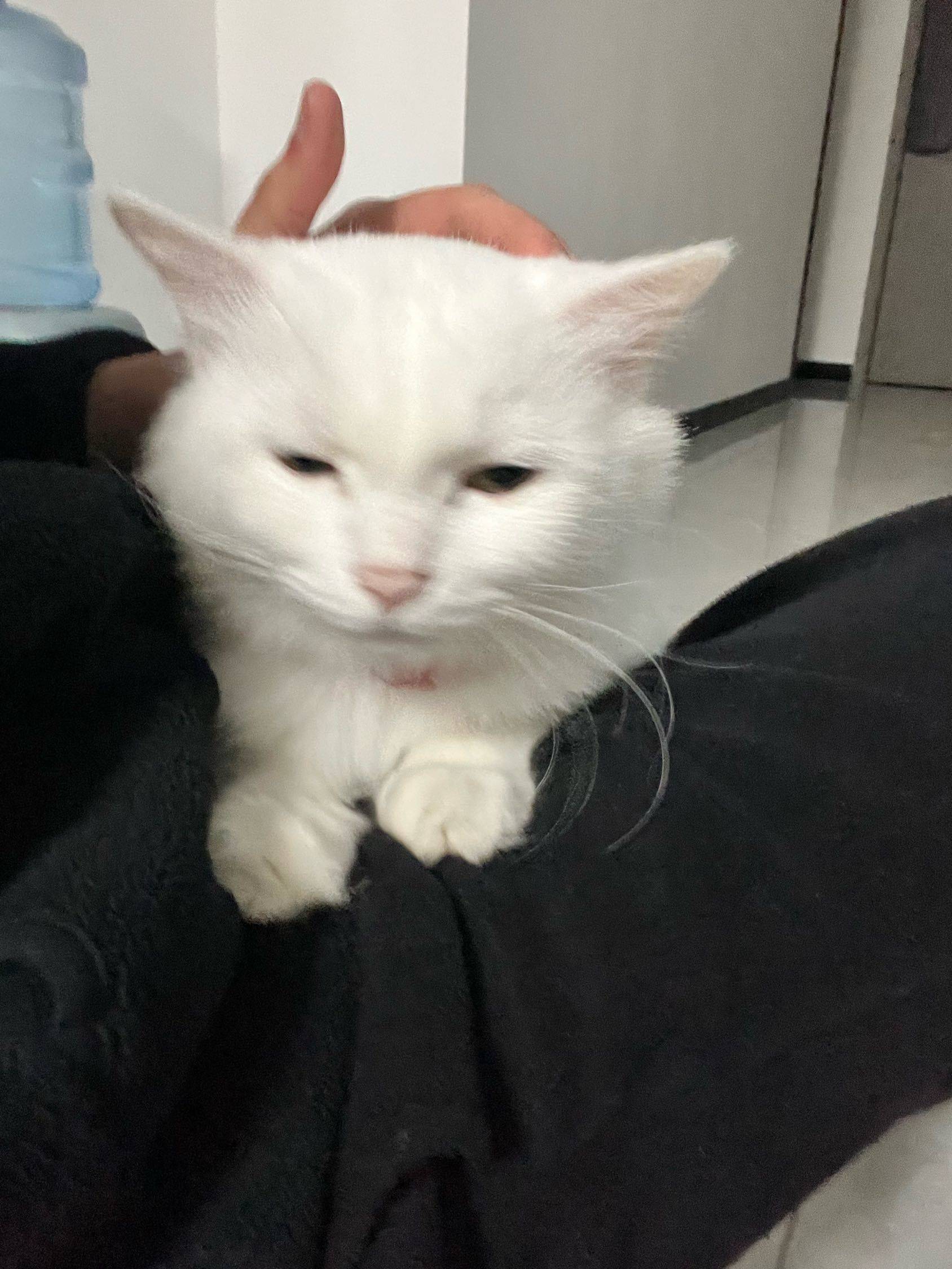 嘿嘿嘿