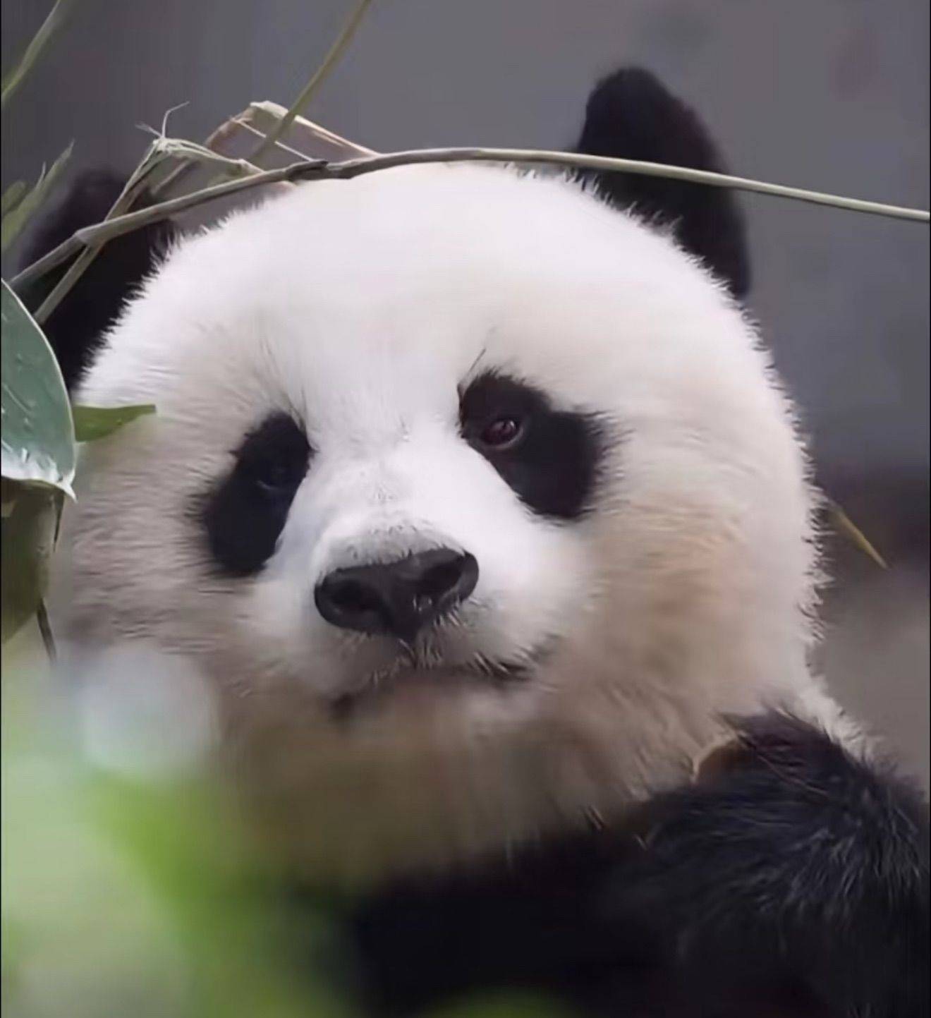 许多