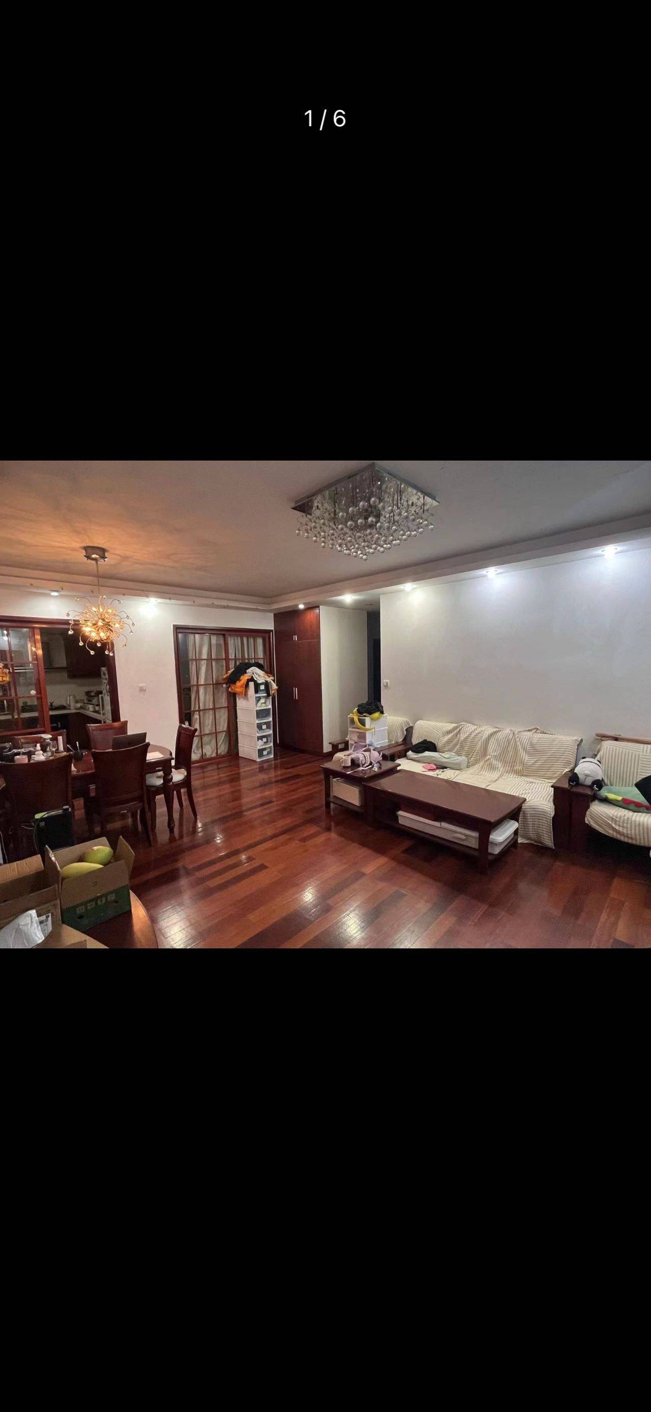 Shanghai-Jing‘An-Pet Friendly