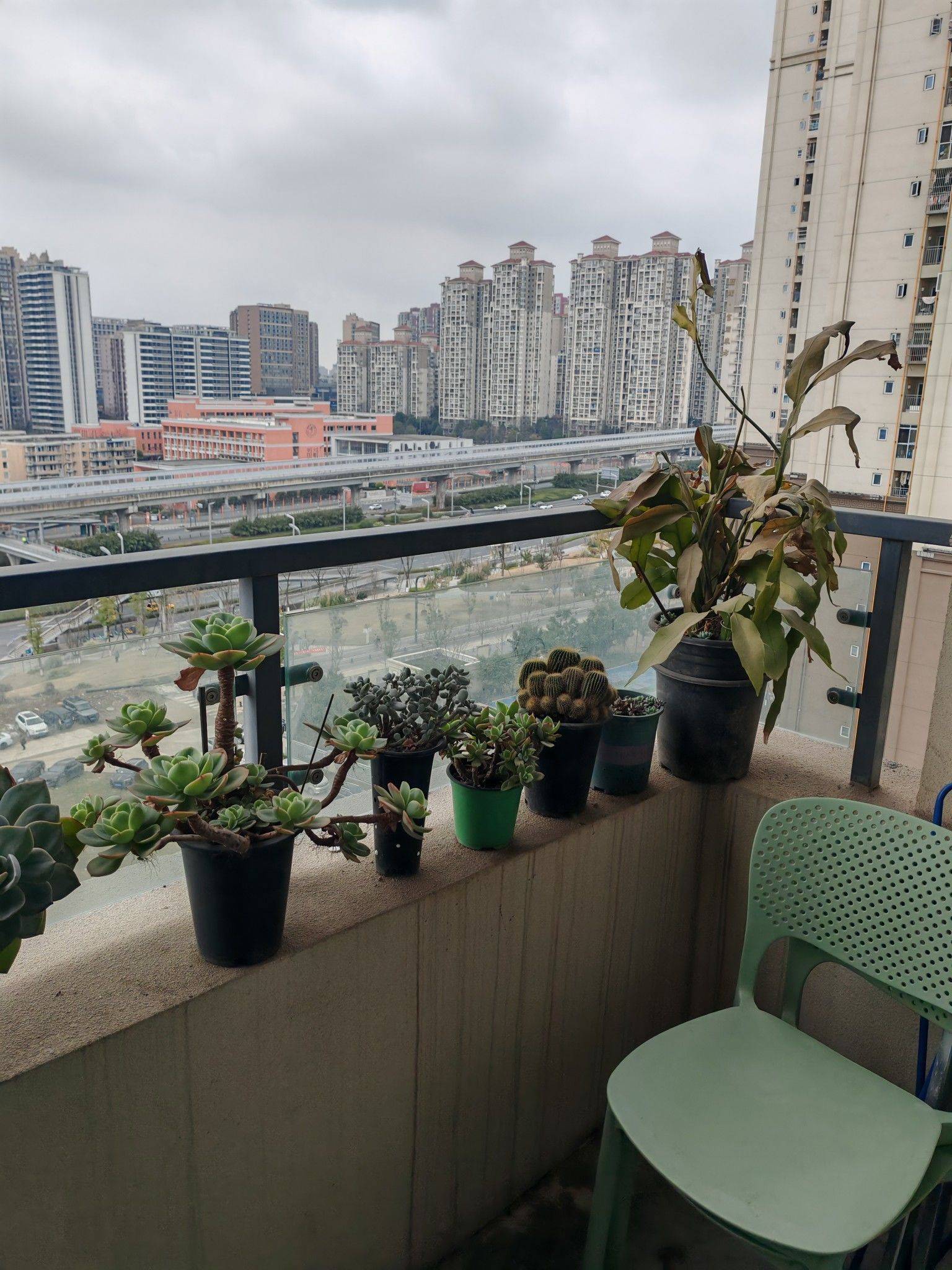 成都-成華-溫馨小窩,乾淨治愈,不限性別,市井煙火氣