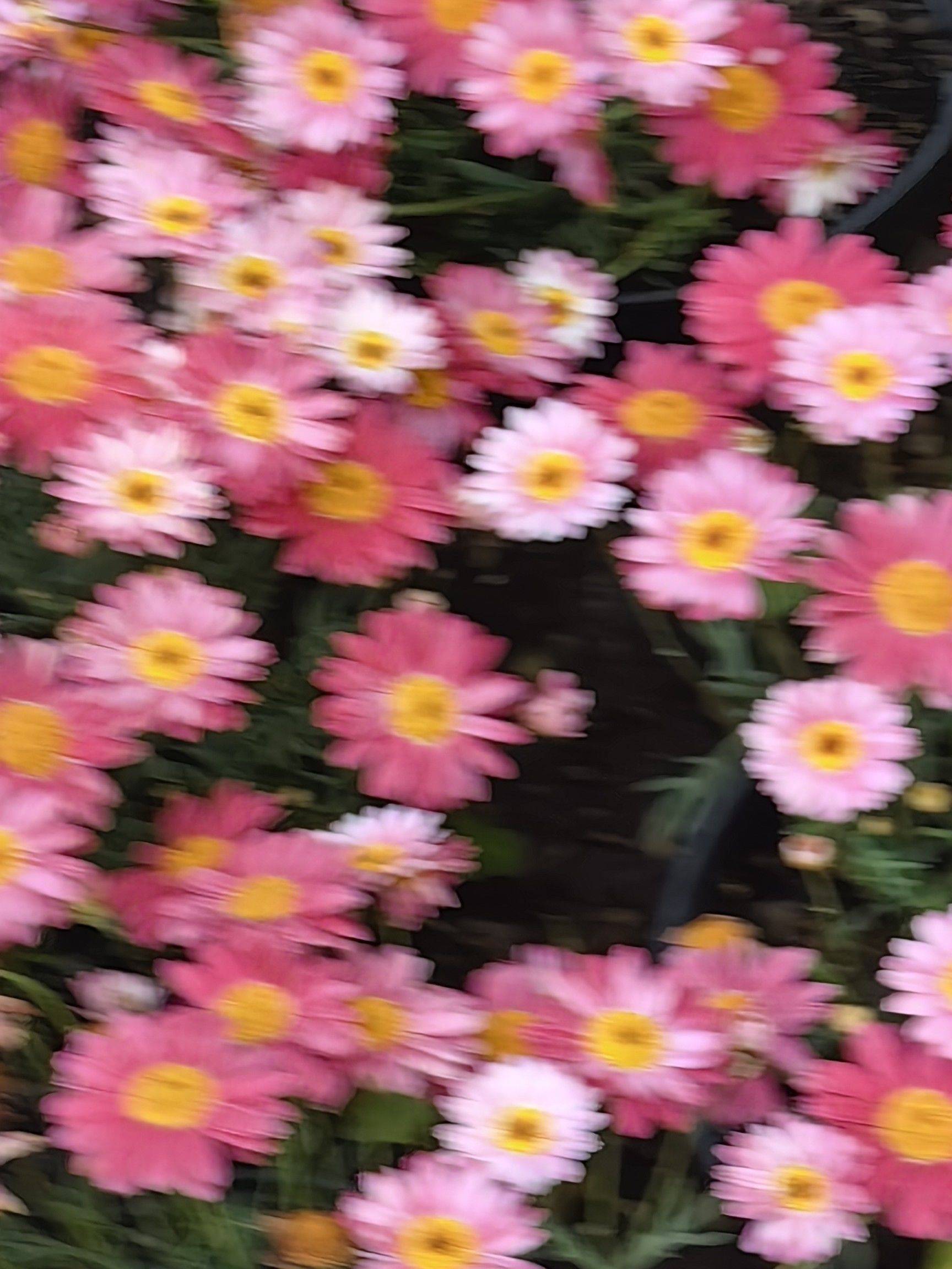 Q_