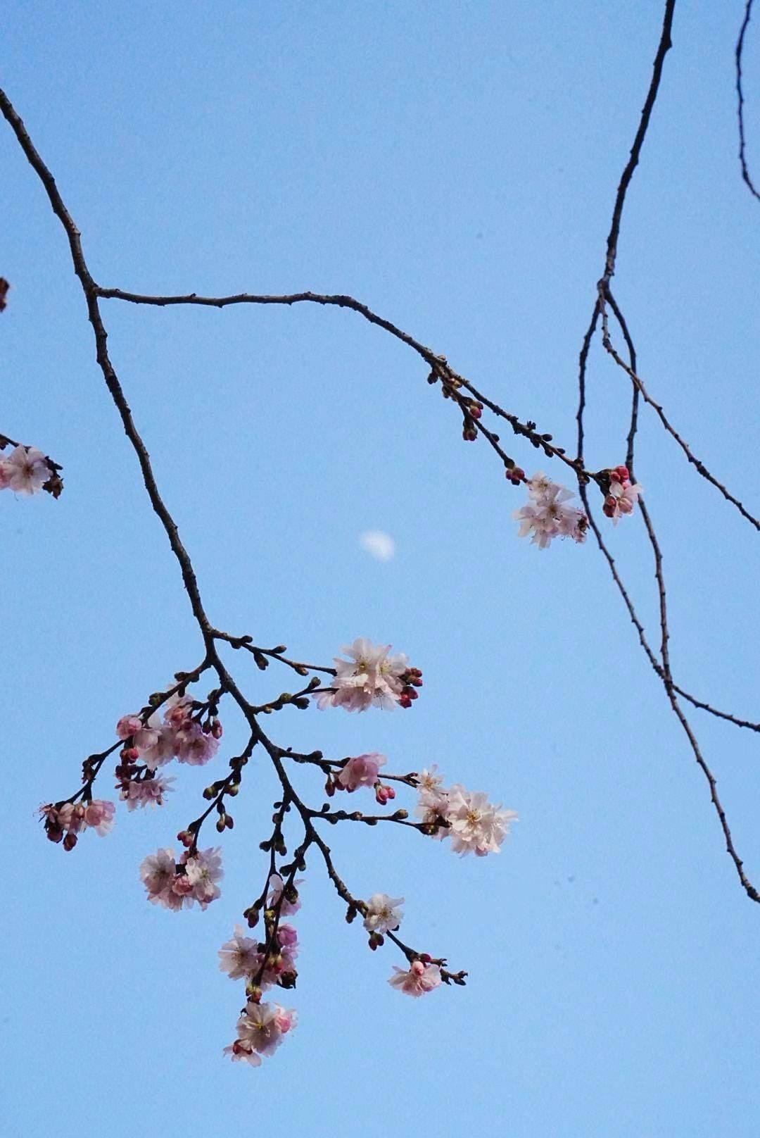 江秀