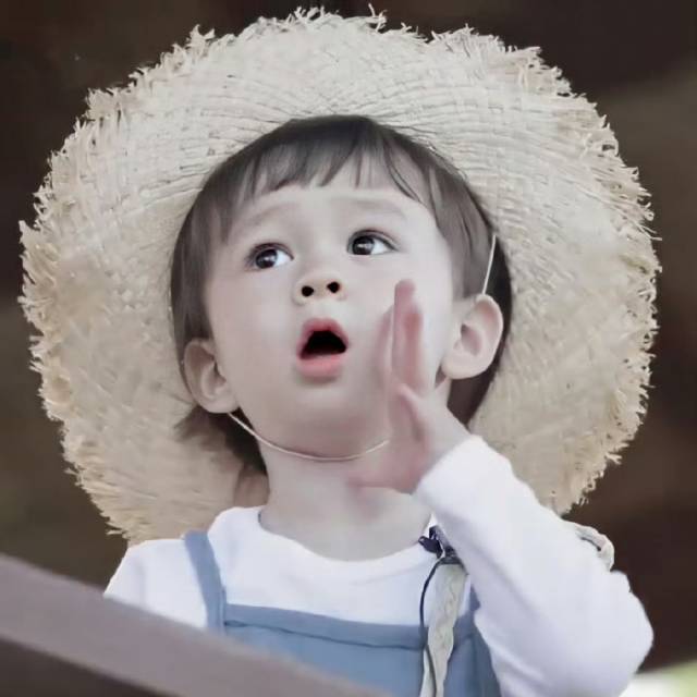 阿LI
