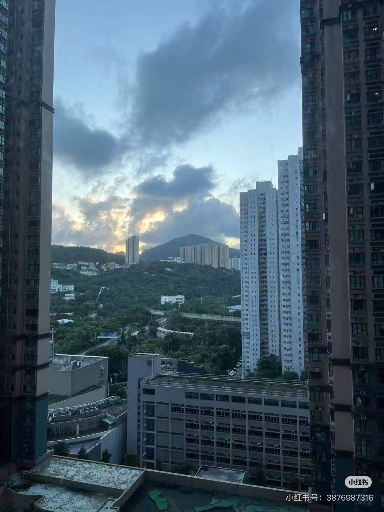 Hong Kong New Territories | 南丰广场-3座_3