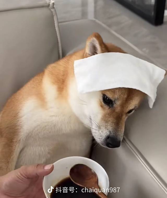 yy