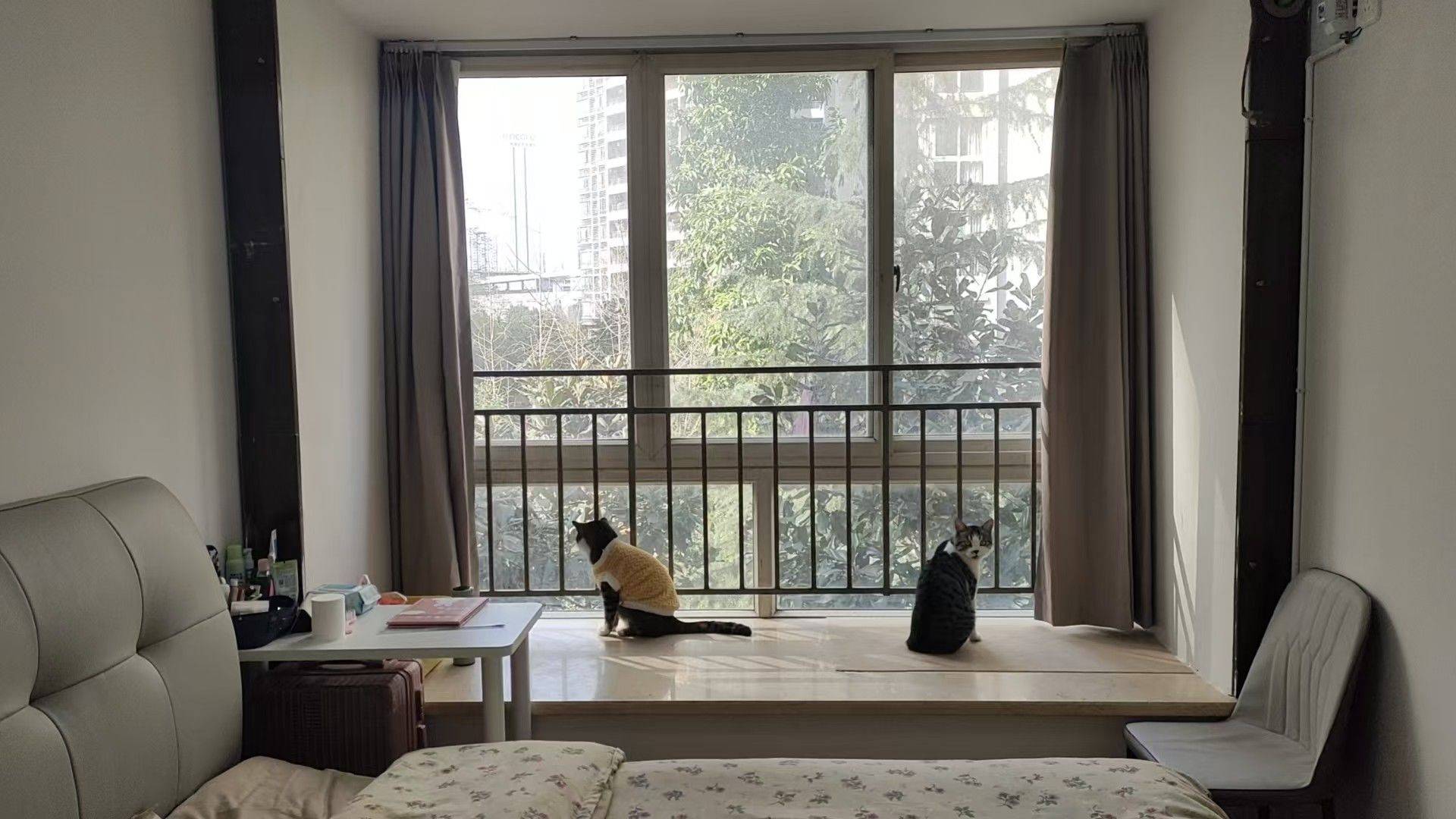 Chongqing-Jiangbei-Cozy Home,Clean&Comfy,No Gender Limit,Hustle & Bustle,“Friends”,Chilled,LGBTQ Friendly,Pet Friendly