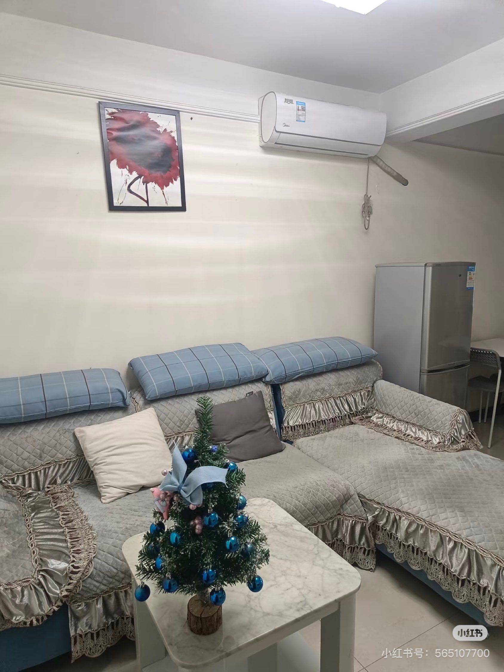 深圳-南山-温馨小窝,干净治愈,不限性别,宠物友好