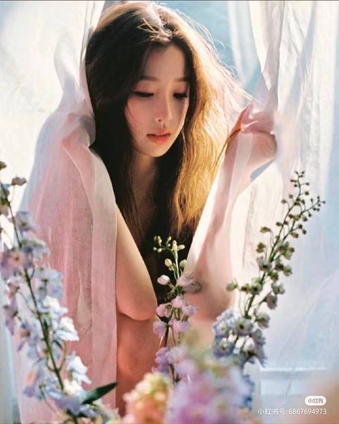 胖熊