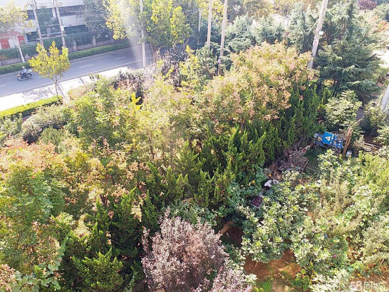 Qingdao Shibei | 水乡苑2期_7