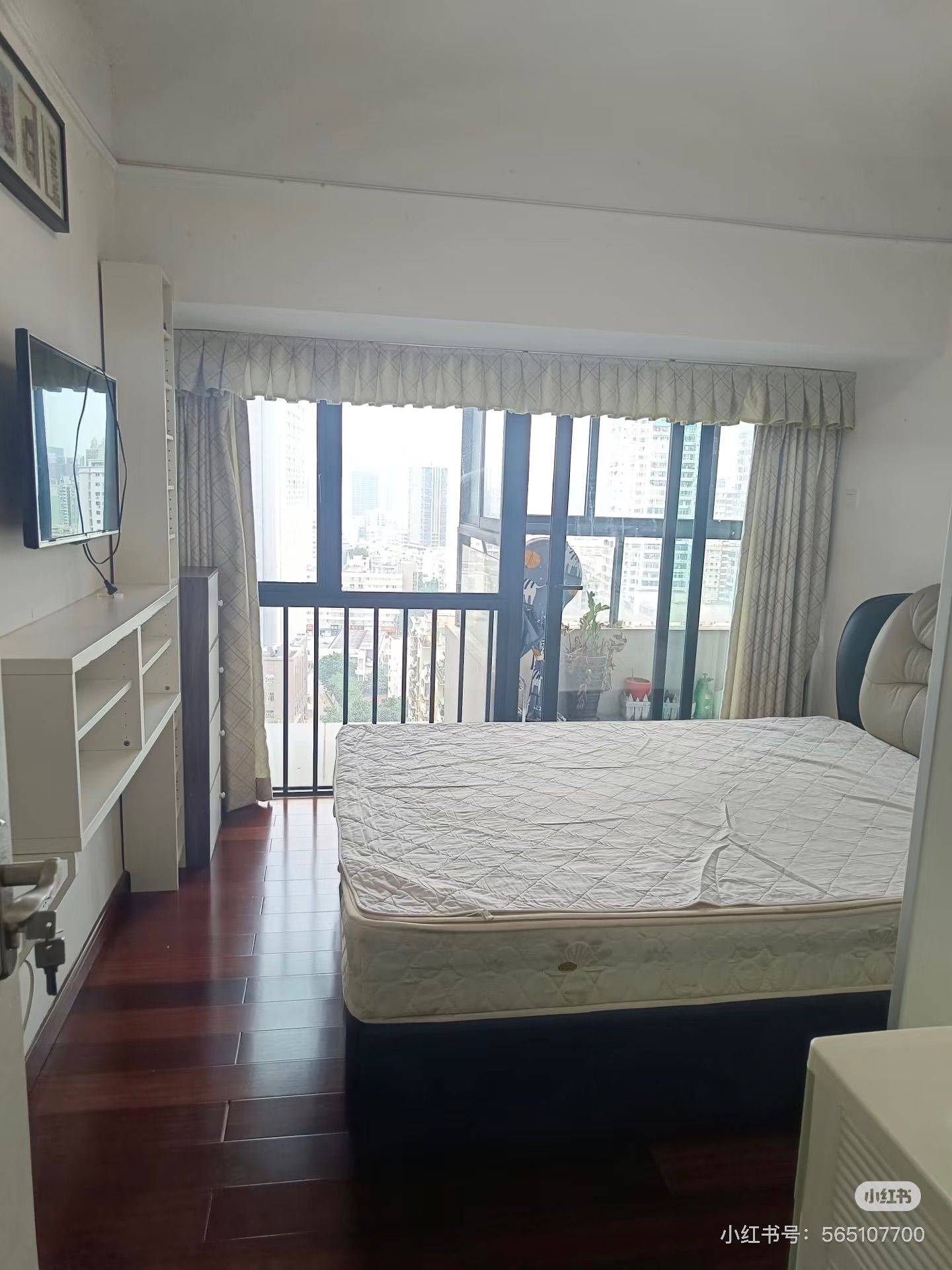 深圳-南山-温馨小窝,干净治愈,不限性别,宠物友好