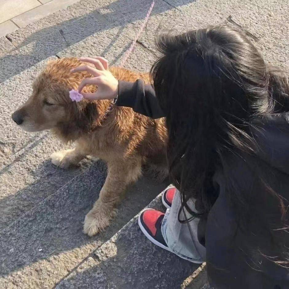 拒绝焦虑 打包快乐