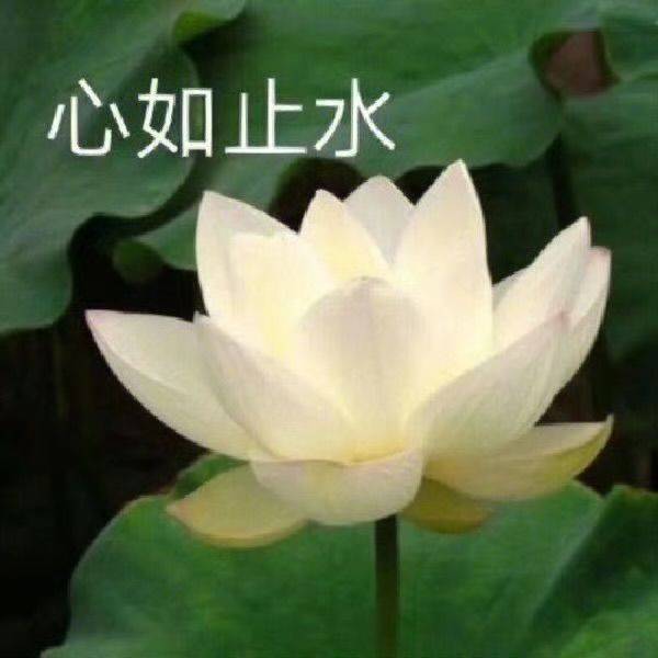 王昕昀