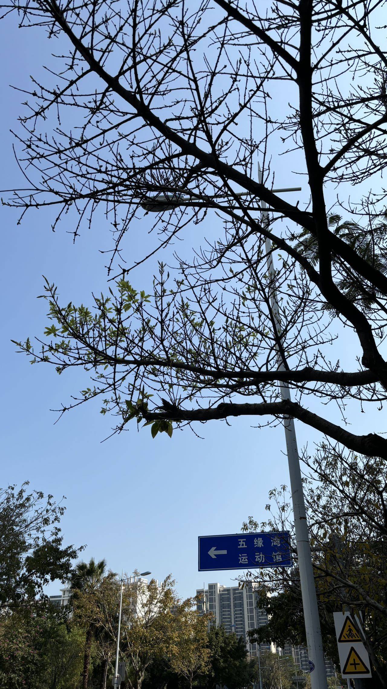 想把房子租出去