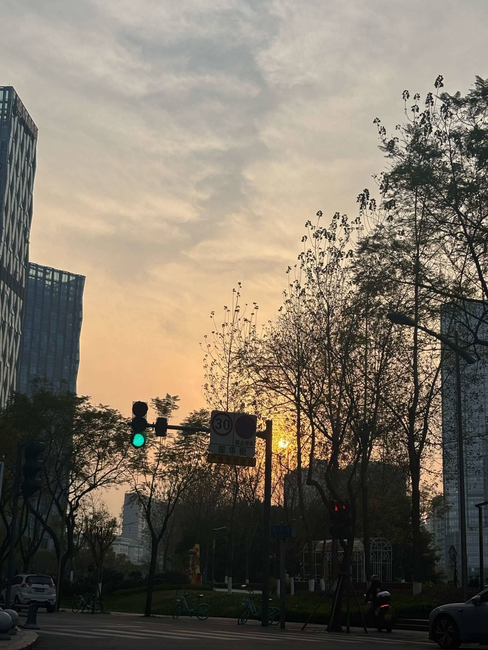 赵飘飘