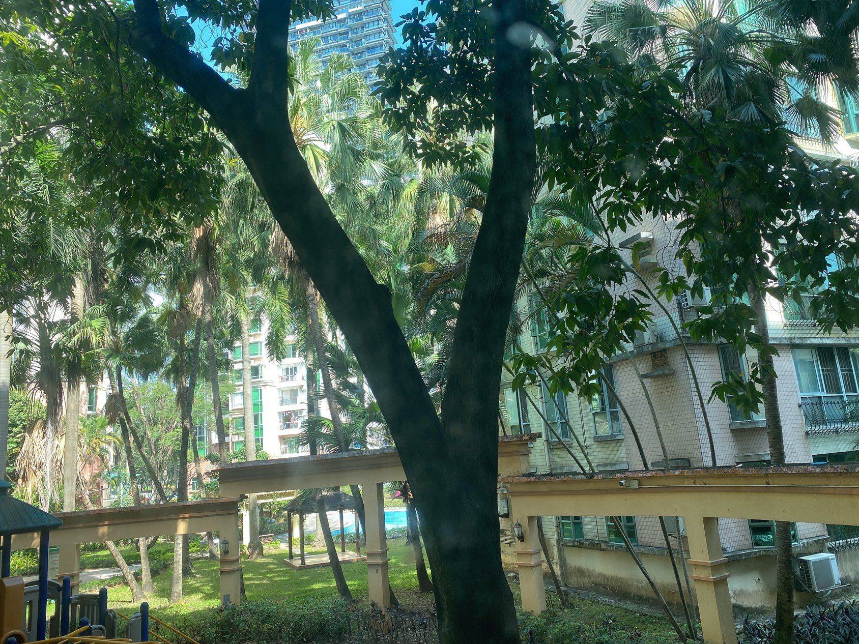 深圳-福田-溫馨小窩