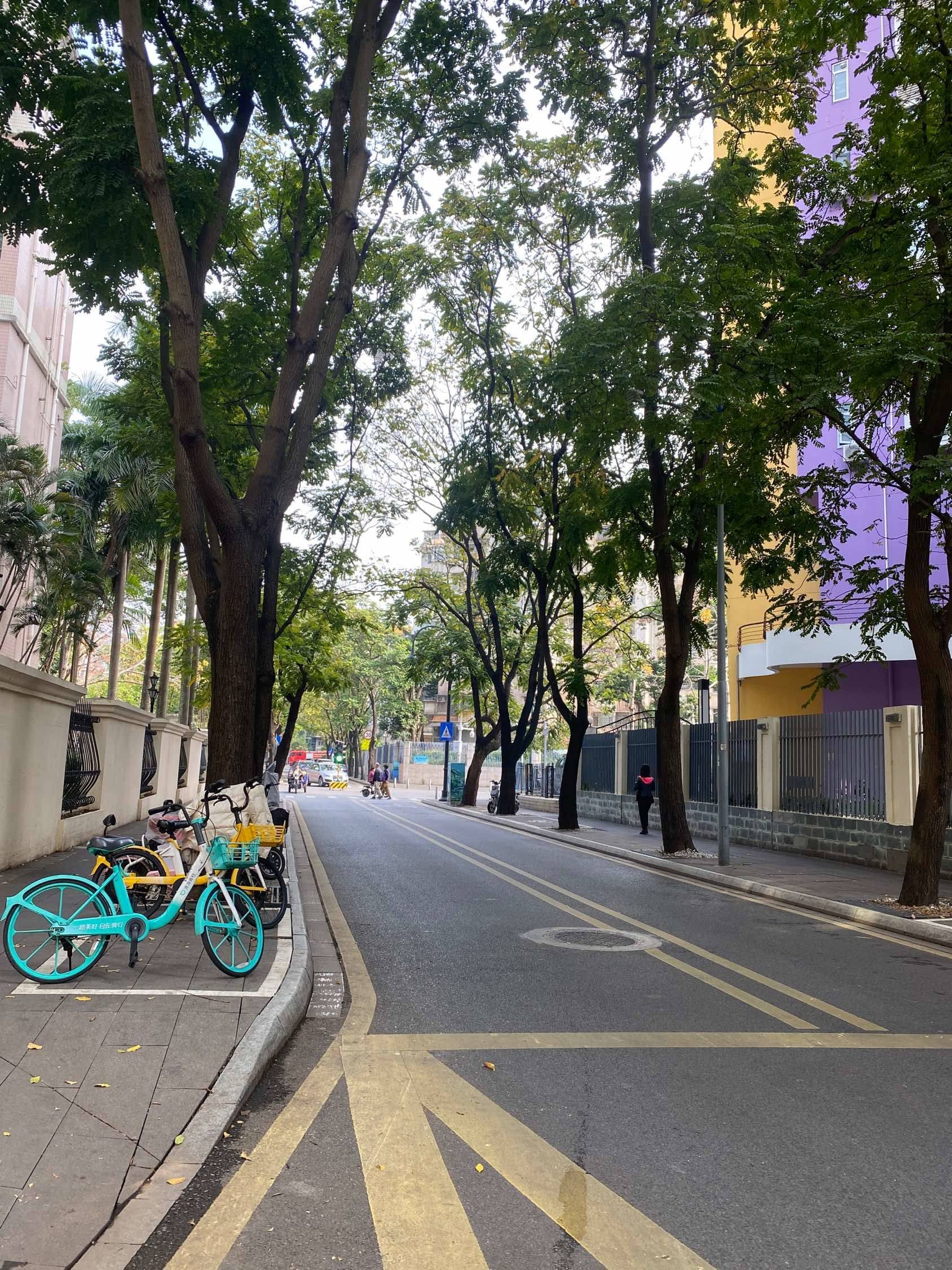 深圳 福田 | 盈轩(馨庭苑店)_7