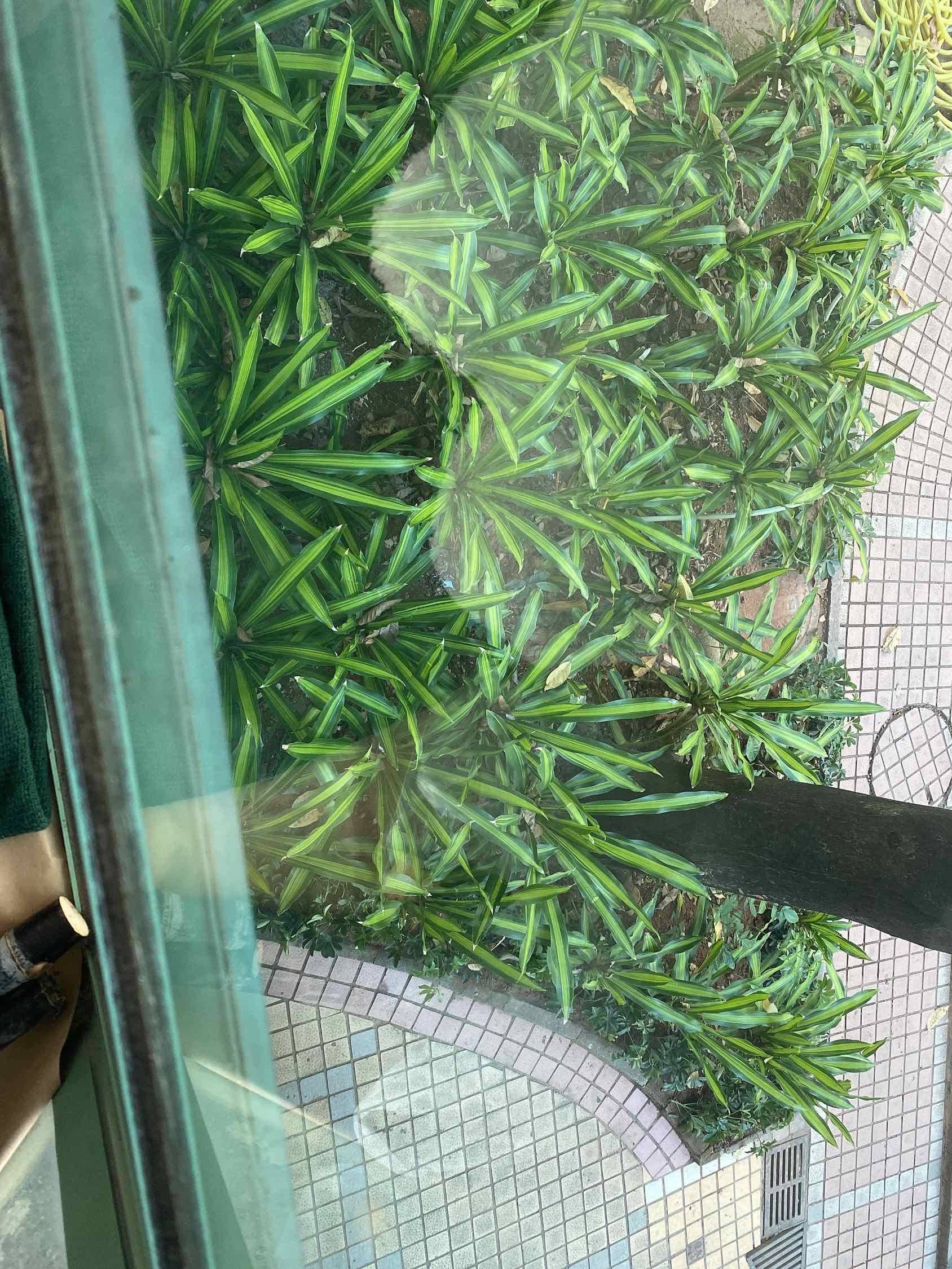 深圳 福田 | 盈轩(馨庭苑店)_4