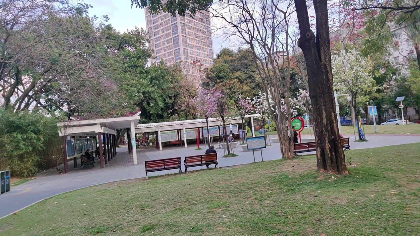 深圳-福田-溫馨小窩