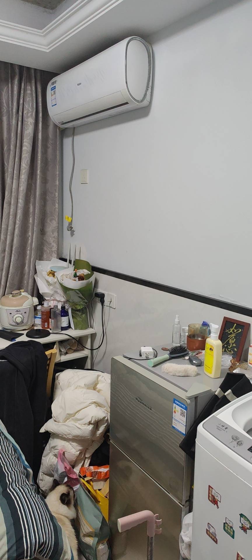 Hangzhou-Yuhang-Clean&Comfy,Hustle & Bustle,LGBTQ Friendly,Pet Friendly