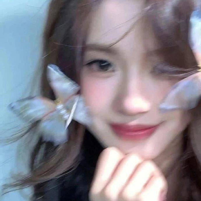 小鹿🦌