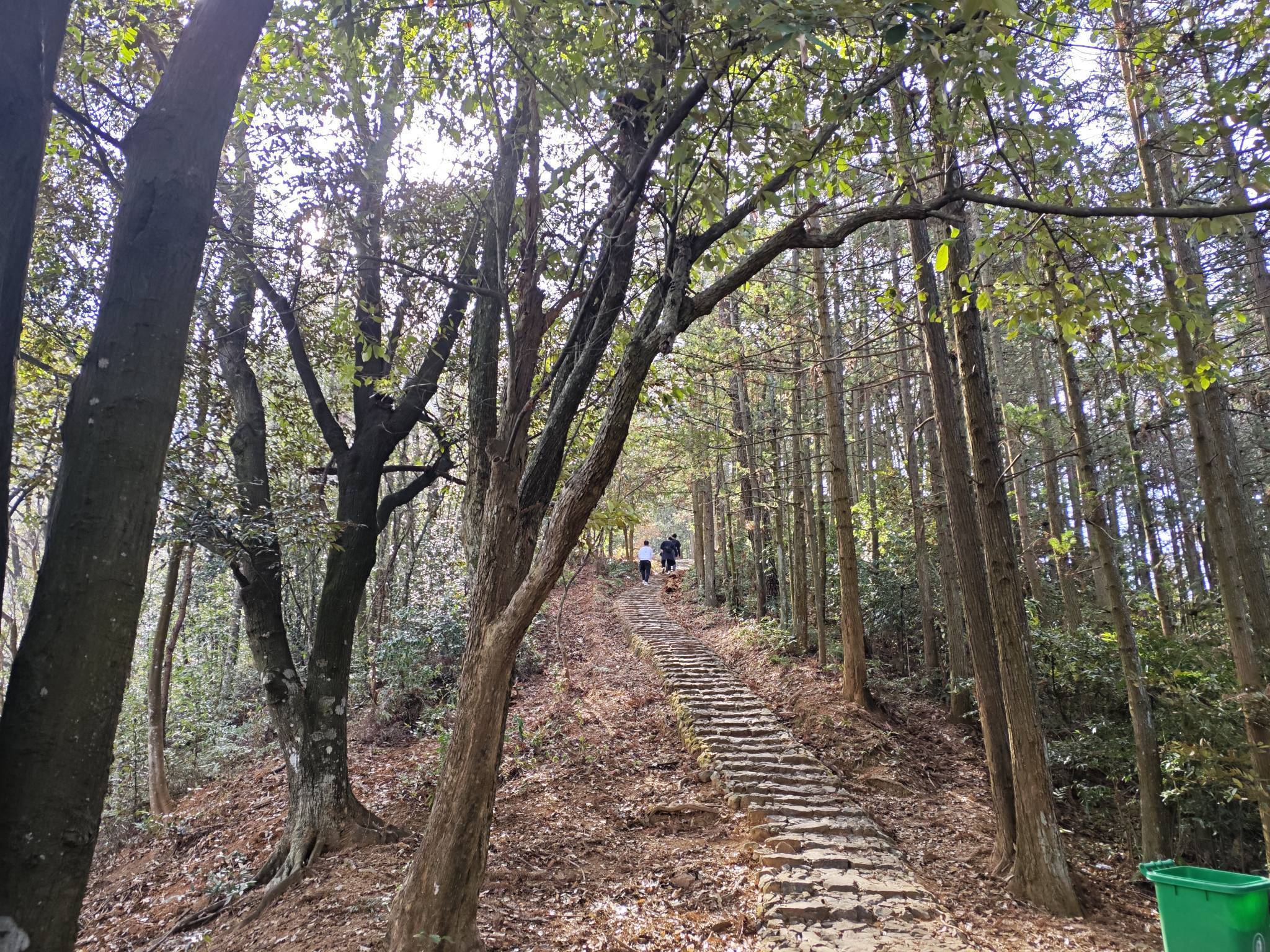 池
