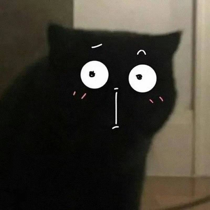 虾米