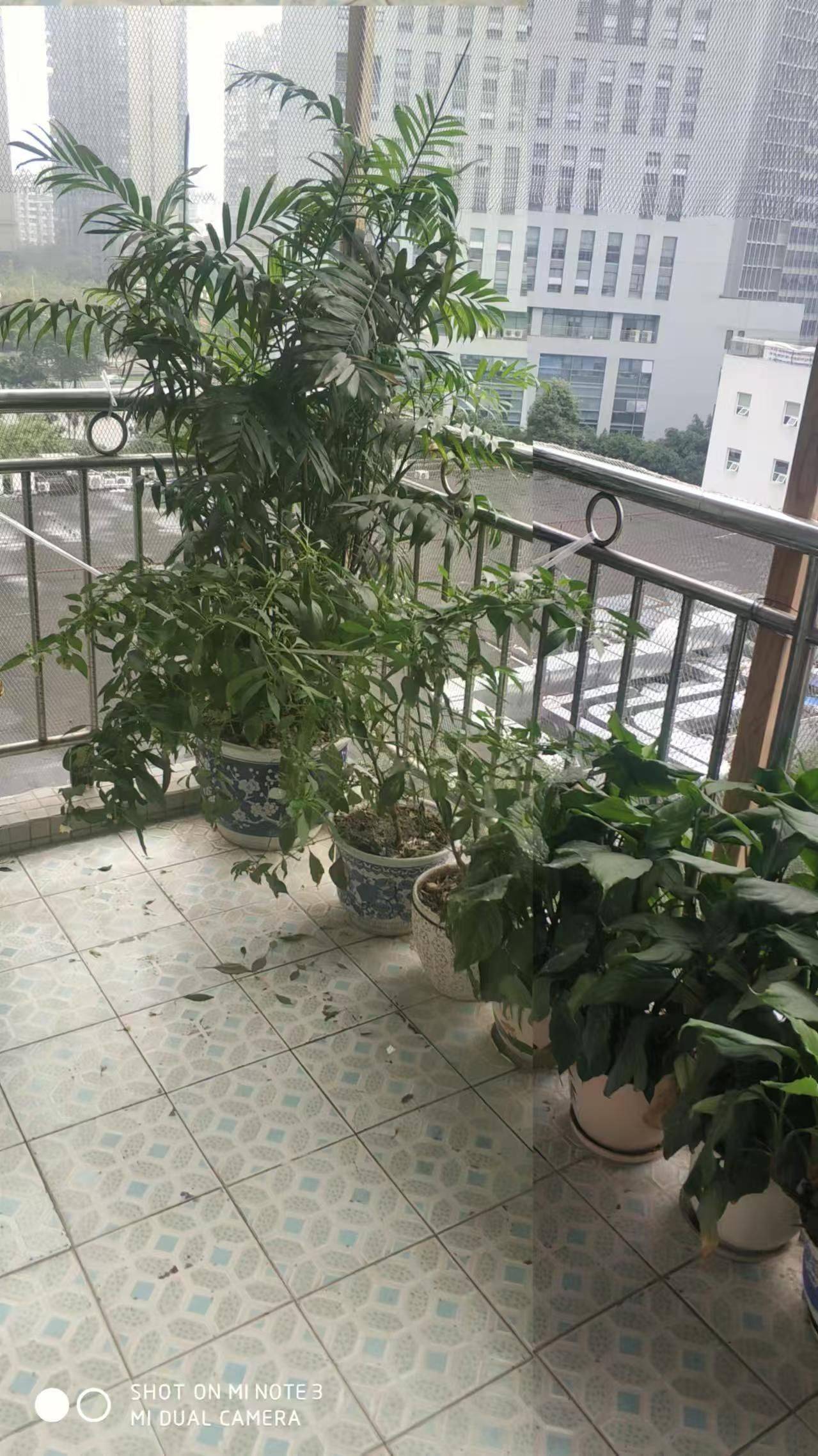 成都-武侯-火车南站,宠物友好,LGBTQ友好,温馨小窝,干净治愈,不限性别,慢时光