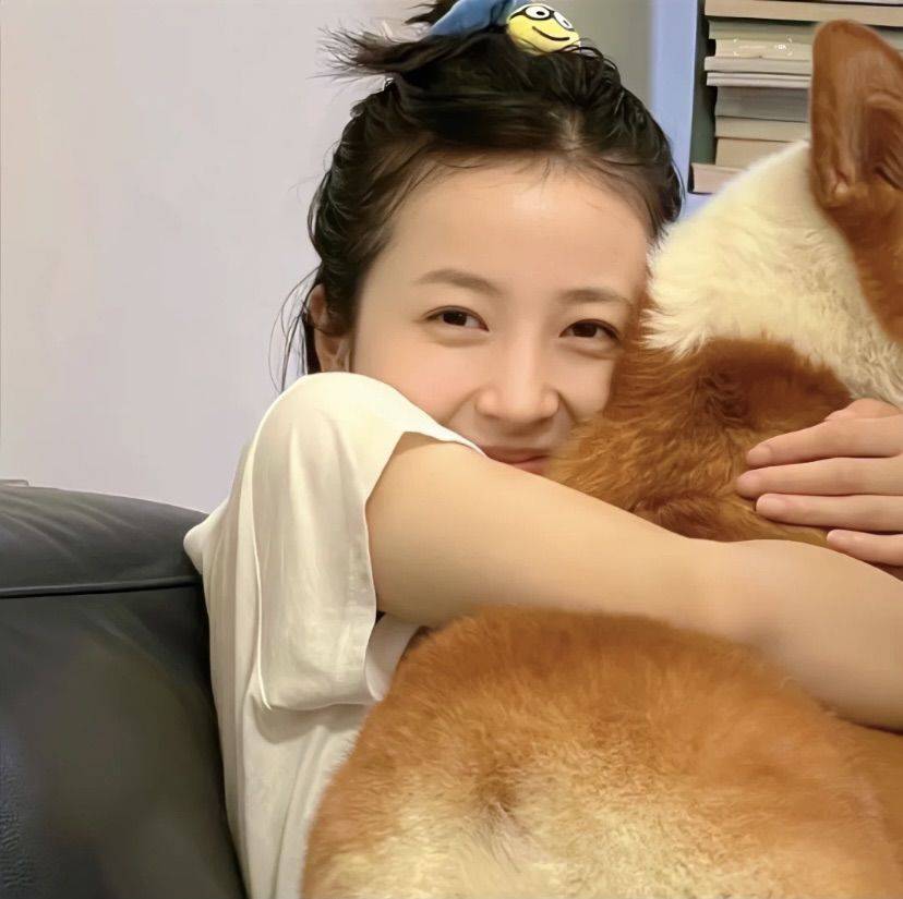 叮咚鸡