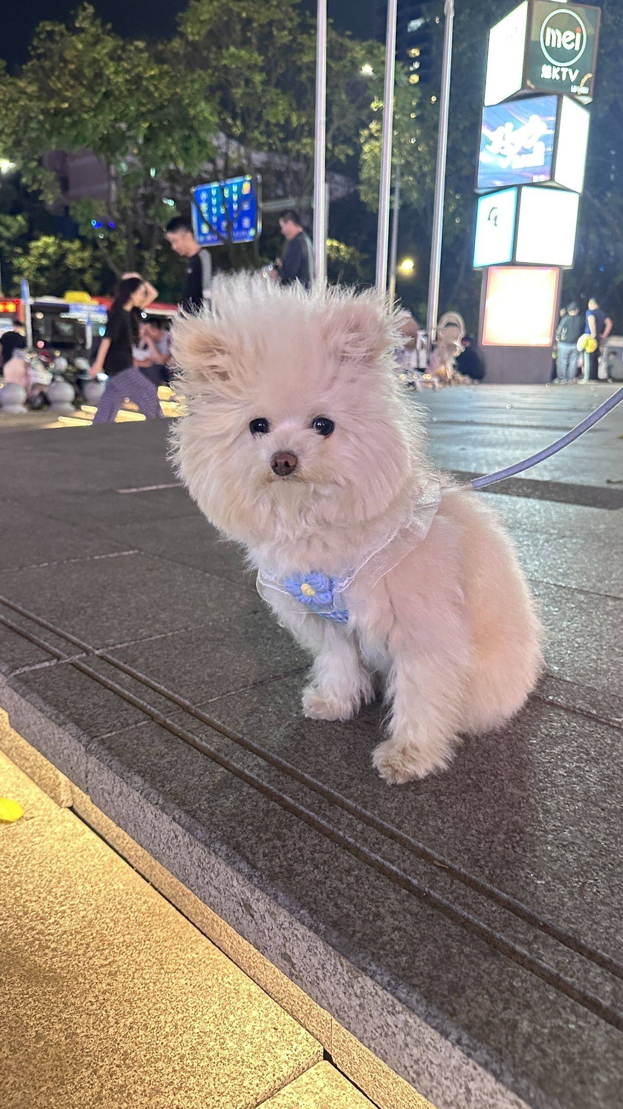 瑶瑶