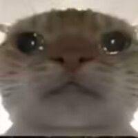 如月