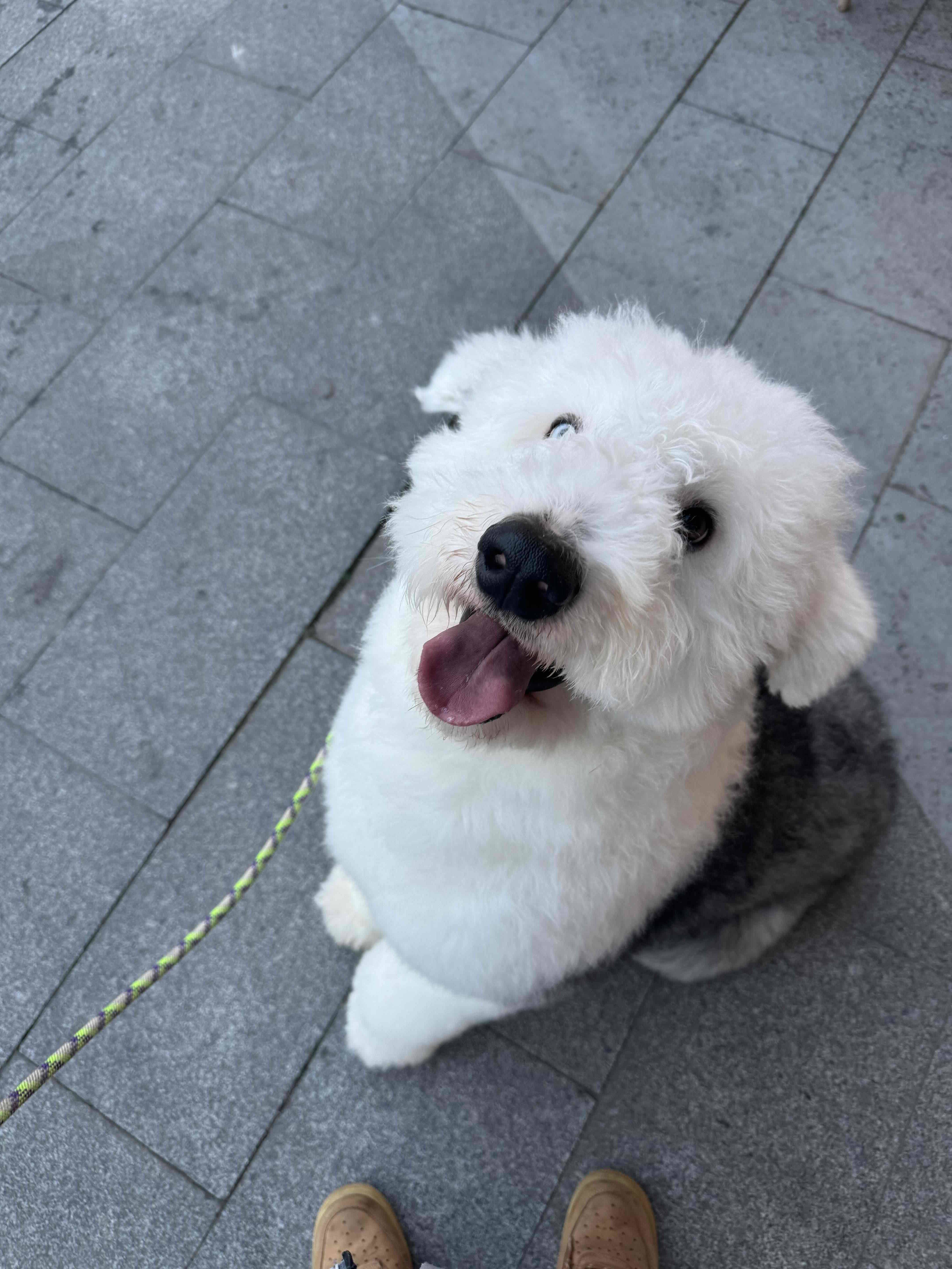 哆啦A梦