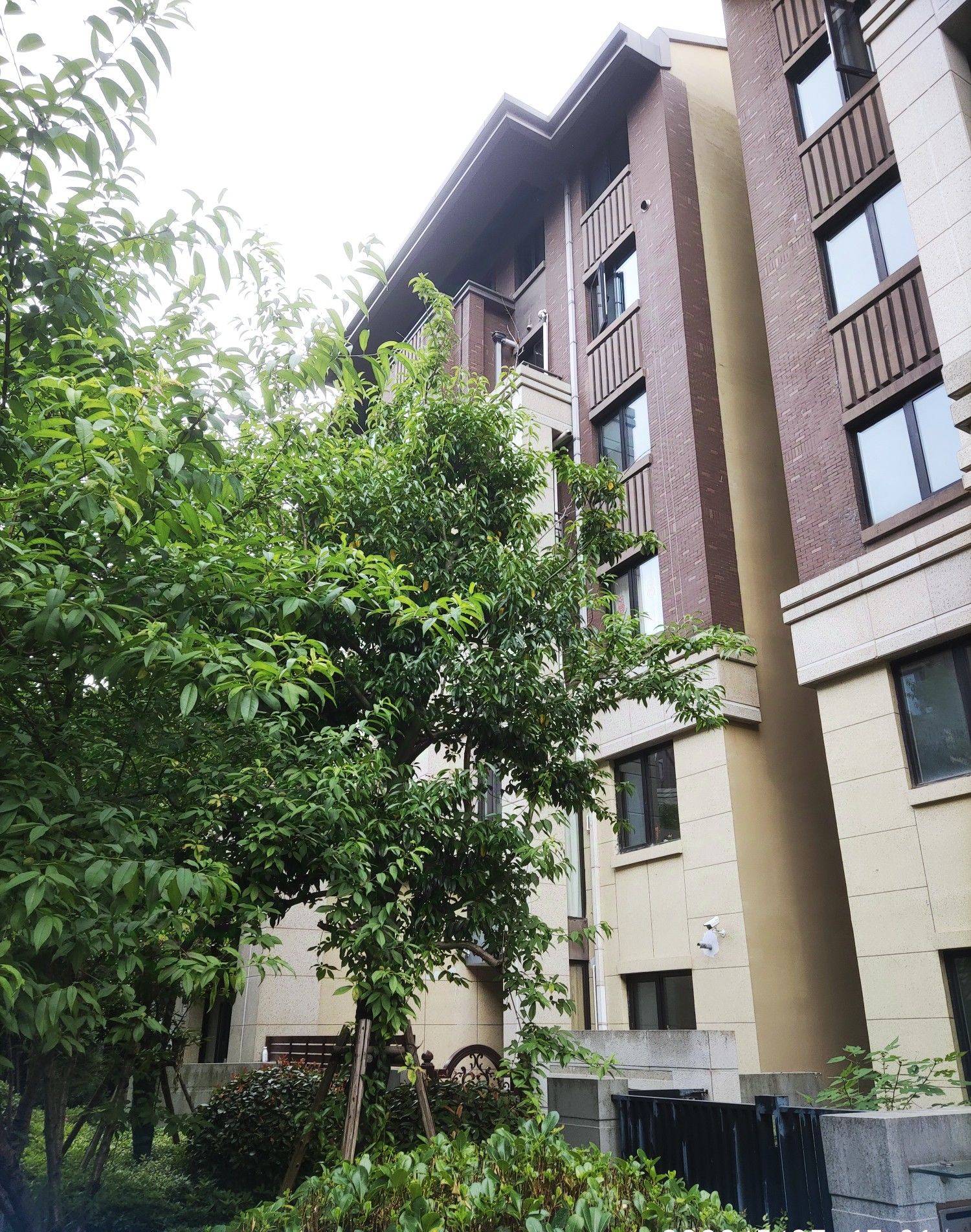 W灰灰整租房源1